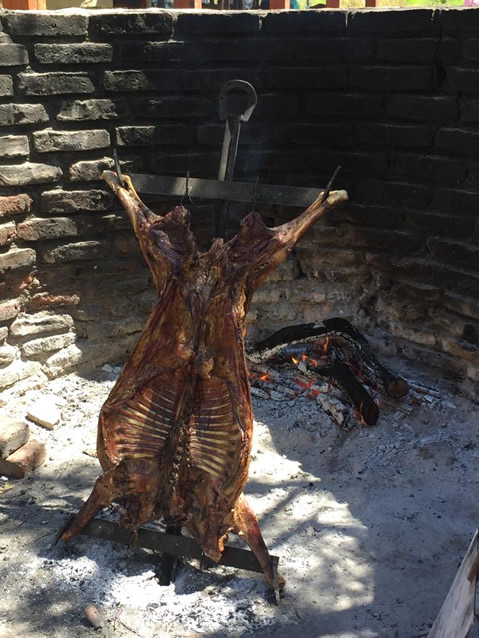 <h2>The Best of Argentina Escorted 2019 Feb 4</h2>11 Nights in Patagonia & Buenos Aires | 6 Rounds | February 4 – 15